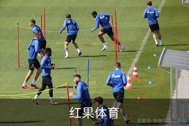 红果体育公司简介配图